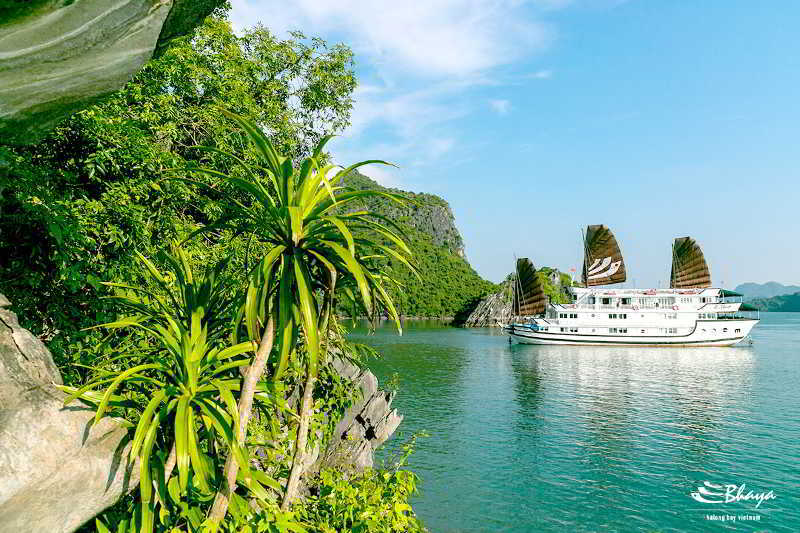 Bhaya Classic Cruises Ха Лонг Екстериор снимка